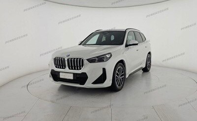 BMW X1            (U11)