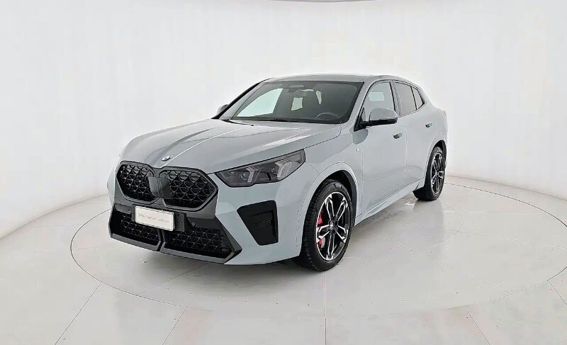 BMW X2            (U10)