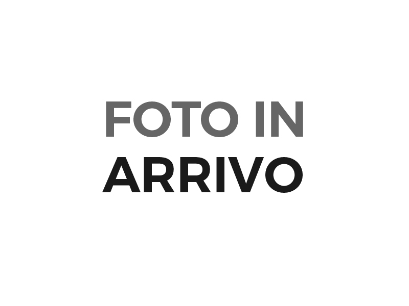 BMW X2            (U10)